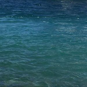 Meet your Posher, Marisa